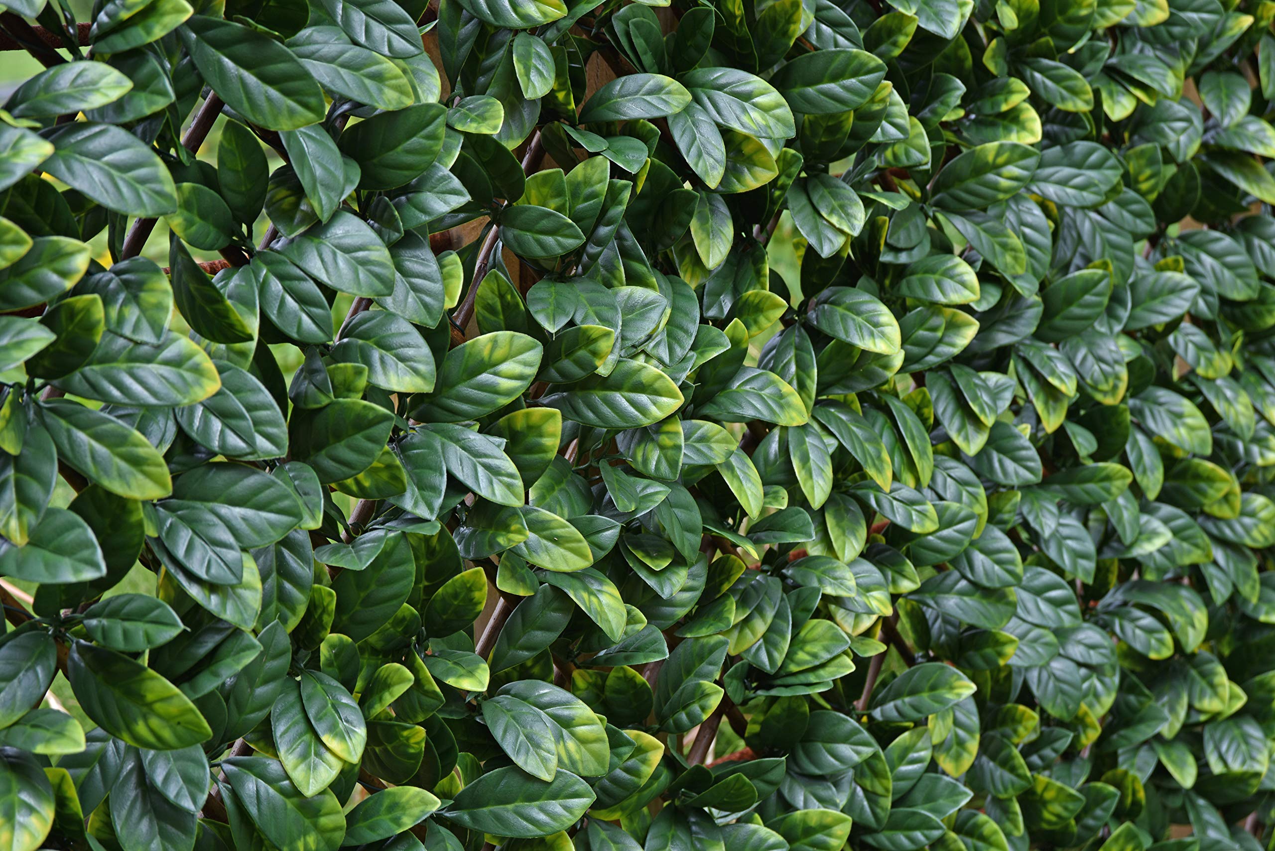 eXtreme Artificial Laurel Leaf Trellis | 2m x 1m Expandable Privacy Screening Hedge for Outdoor Gardens, Balcony, and Terraces | Realistic and UV-Stabilized Decorative Fencing Panel