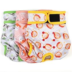 Female Dog Diapers - Premium Reusable Diapers for