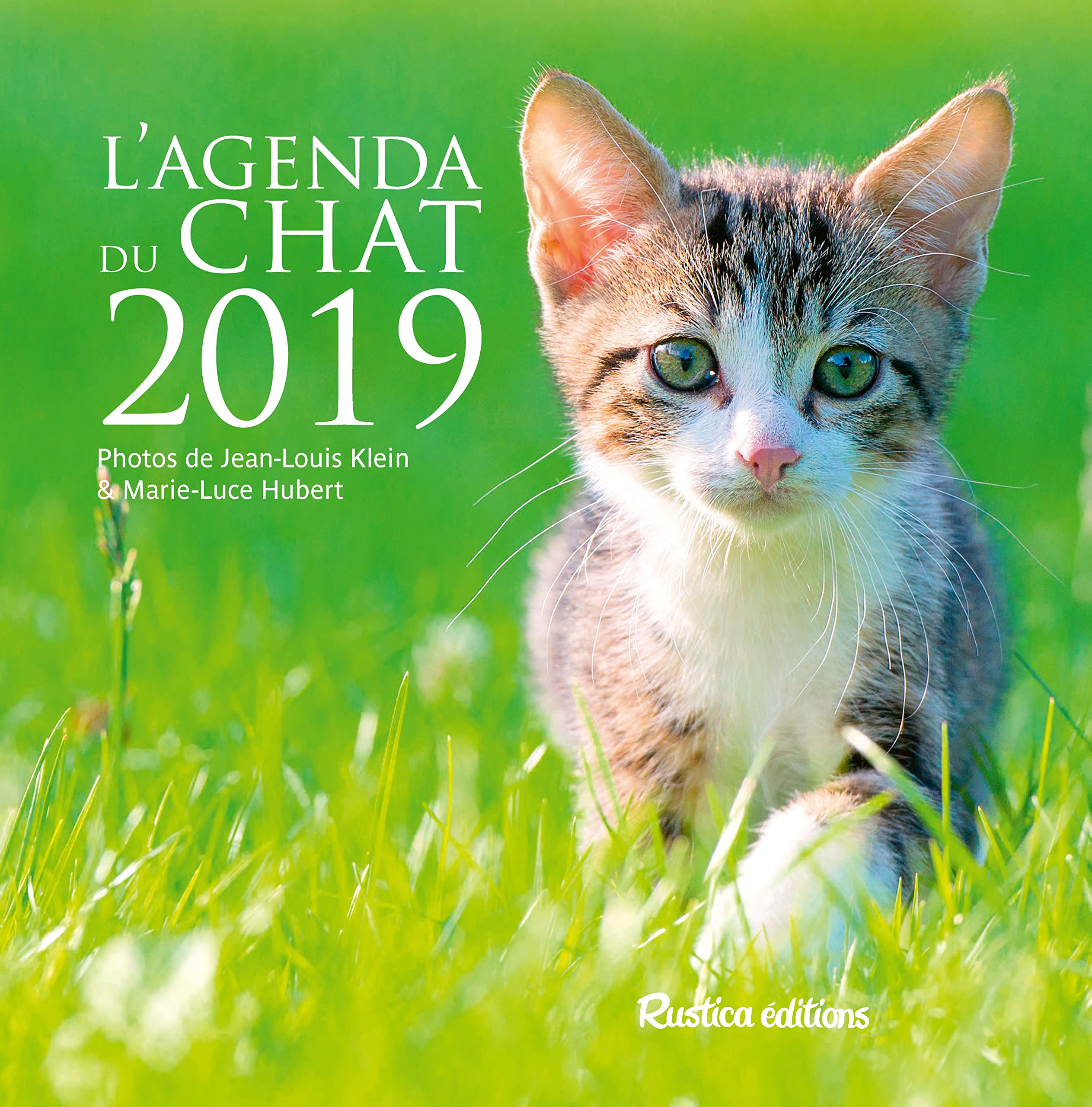 L Agenda Du Chat 19 Les Millesimes Klein Jean Louis Hubert Marie Luce Amazon Es Libros
