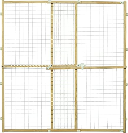 my dog is depressed after other dog died