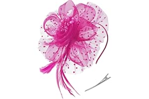 Zivyes Fascinators Hats for Women Tea Party Hat Kentucky Derby Hat Wedding Headpiece Feather Mesh Hair Clip