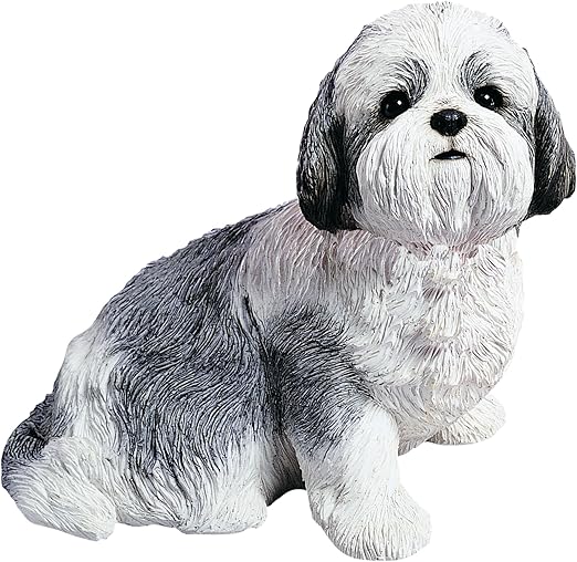 shih tzu silver and white