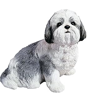 Sandicast Silver and White Shih Tzu Sculpture, Sitting, Life Size