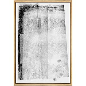 SIGNWIN Framed Canvas Print Wall Art Faded White...