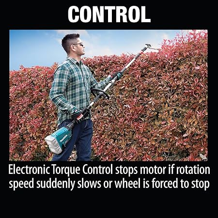 https://images-na.ssl-images-amazon.com/images/I/91Yz2x%2BLT4L._AC_SY450_.jpg