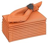 Ruvanti Premium Linen Napkins Set of 12-20x20