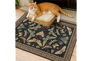 HAZO HAUS Small Black Entryway Rug - 2x3 Front Door Rug Indoor Entrance, Small Carpet for Kitchen Floor, Bathroom, Powder Room, Washable Low Pile Non Slip, Insect Print Home Décor