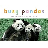 Busy Pandas