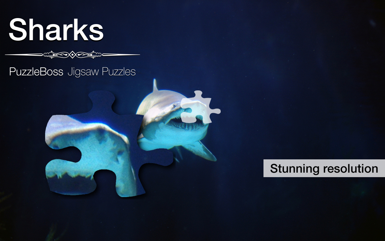 Shark Jigsaw Puzzles