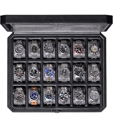 Amazon.com: ROTHWELL 24 Slot Watch Case with Lock – Luxury Watch