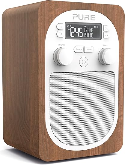 Pure Evoke H2 Portable Fm Dab Dab Digital Radio Dab Radio With