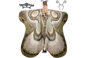Tibeha Halloween Butterfly Wings for Women - Girls Kid Adult Costume Cape, Mask, Antenna Headband
