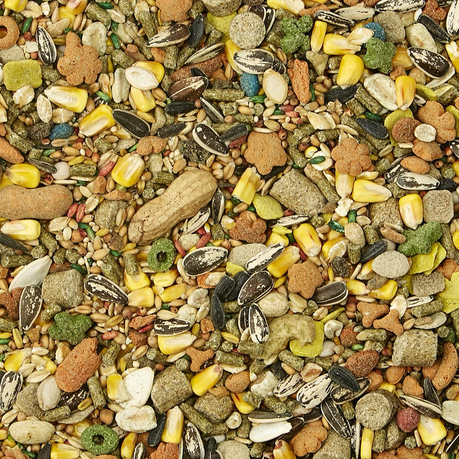 Kaytee Fiesta Mouse And Rat Food, 4.5-Lb Bag : Dry Pet Food : Pet Supplies
