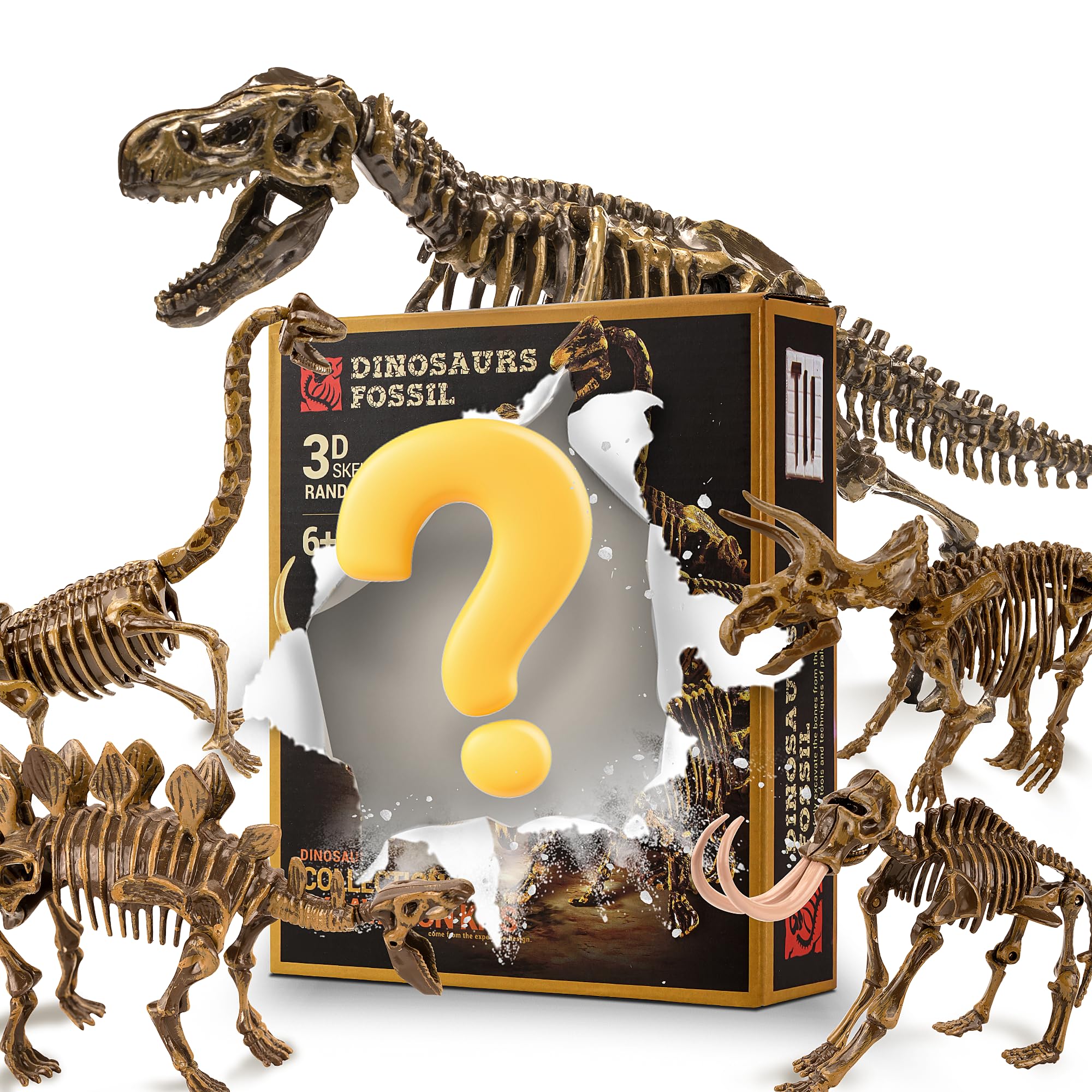 MUSCCCM Dinosaur Dig Kit Random