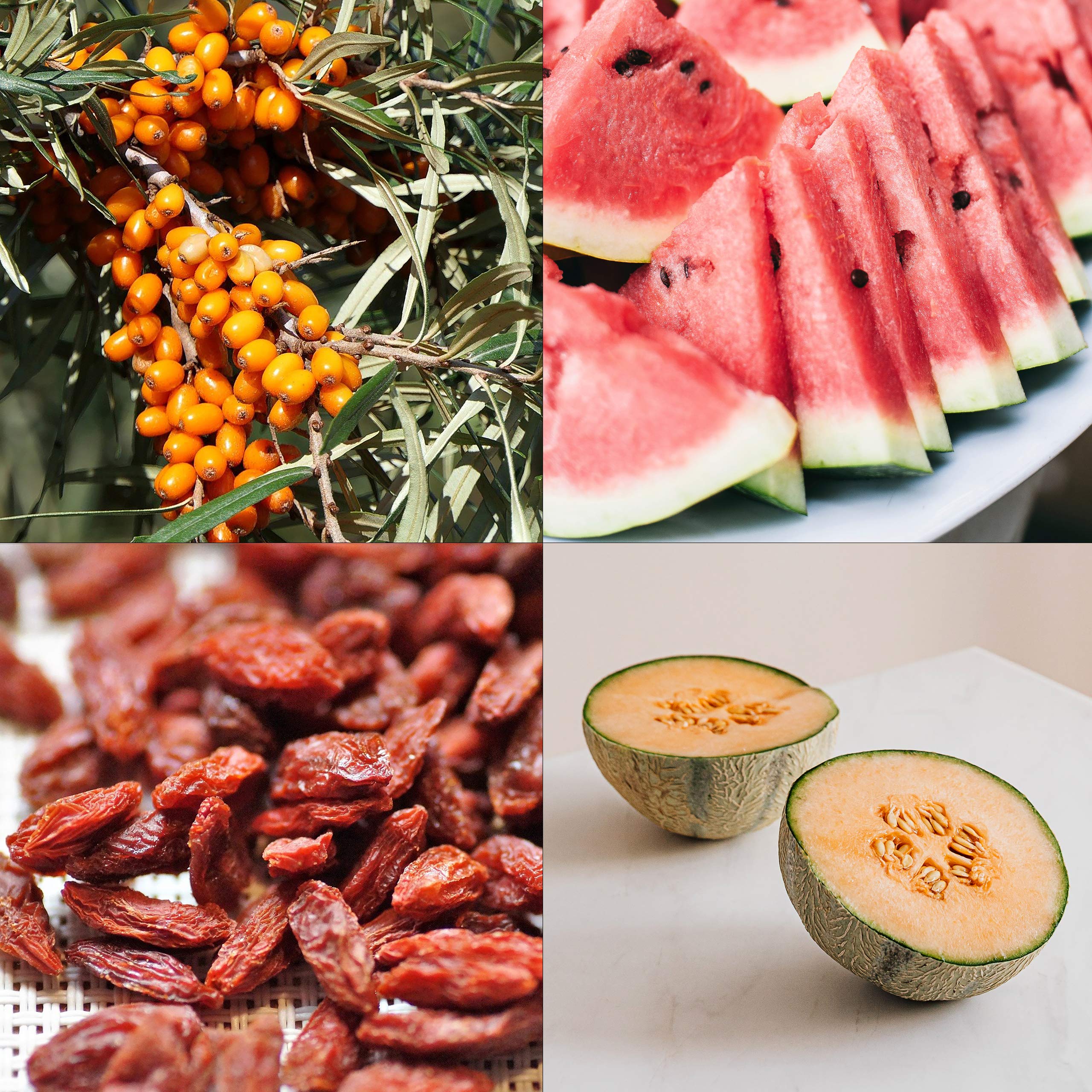 Obst Samen Set: Premium Garten Obst Saatgut mit 8 Sorten Obst Pflanzen für Garten und Balkon – Wassermelone Samen, Erdbeeren Samen, Andenbeere, Rhabarber uvm. – Obstsamen Geschenk Set von OwnGrown 6