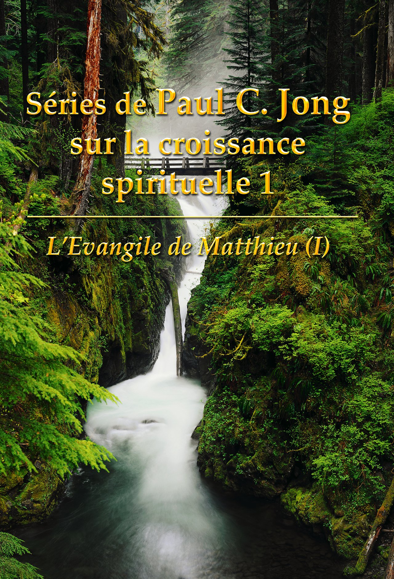 Series De Paul C Jong Sur La Croissance Spirituelle 1 L Evangile De Matthieu I French Edition Rev Paul C Jong Books Amazon Com