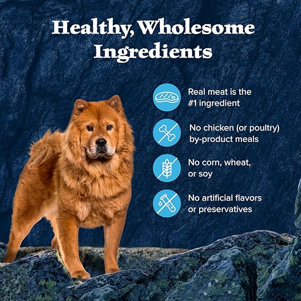 BLUE BUFFALO WILDERNESS TRAIL TOPPERS WILD CUTS WET DOG FOOD VARIETY PACK, HIGH-PROTEIN & GRAIN-FREE, MADE WITH NATURAL INGREDIENTS, CHICKEN AND BEEF FLAVORS, 3-OZ POUCHES, (12 COUNT, 6 OF EACH)