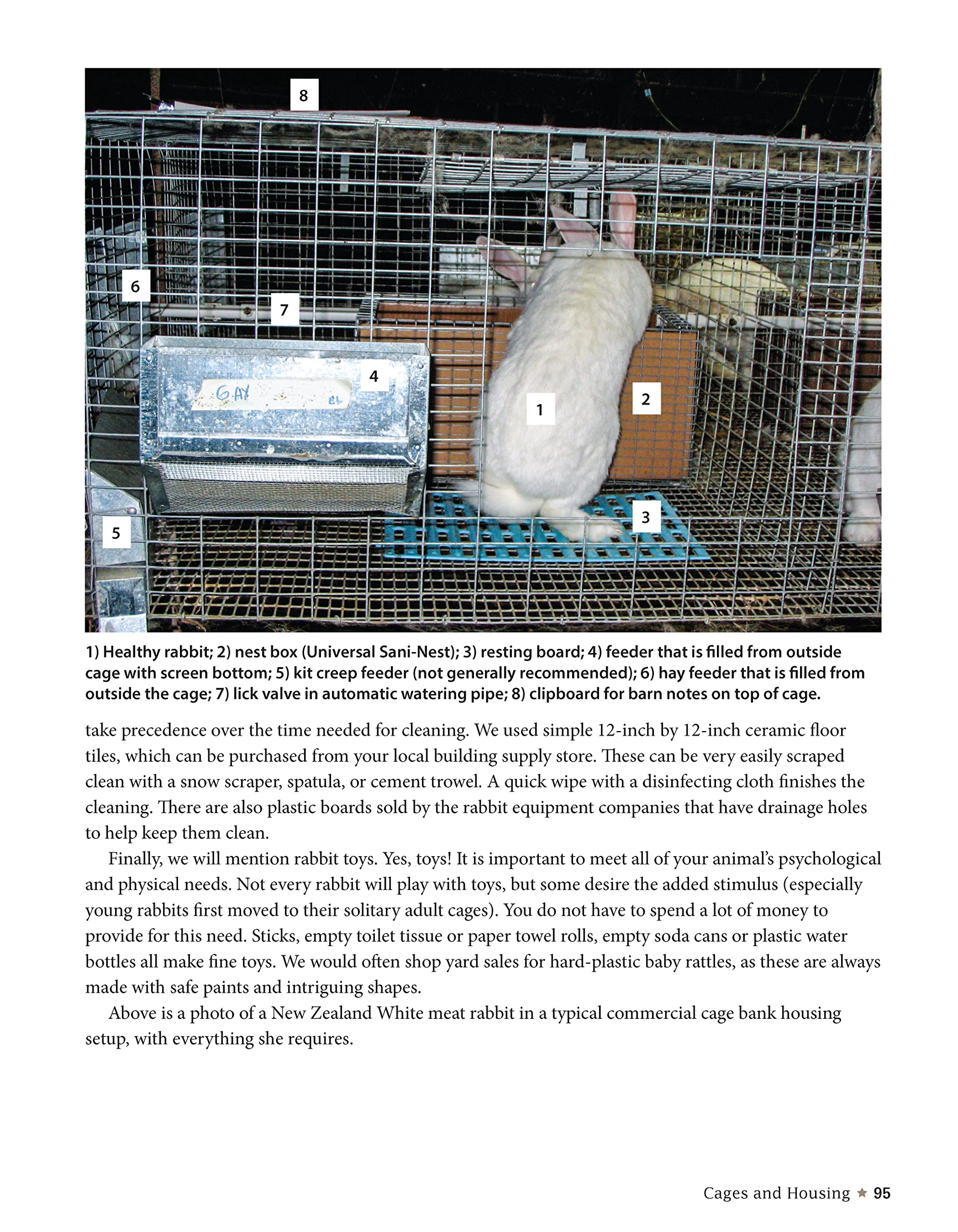 A Practical Guide to Rabbit Ranching: Raising Rabbits for Meat and Profit (CompanionHouse Books) Farming Meat Rabbits, Care, Housing, Feeding, Breeding, Growing, Disease Management, Costs, and More
