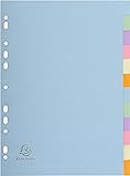 Exacompta Forever 1612E A4 12 Part Plain Dividers - Multi-Coloured (1 Pack of 12)
