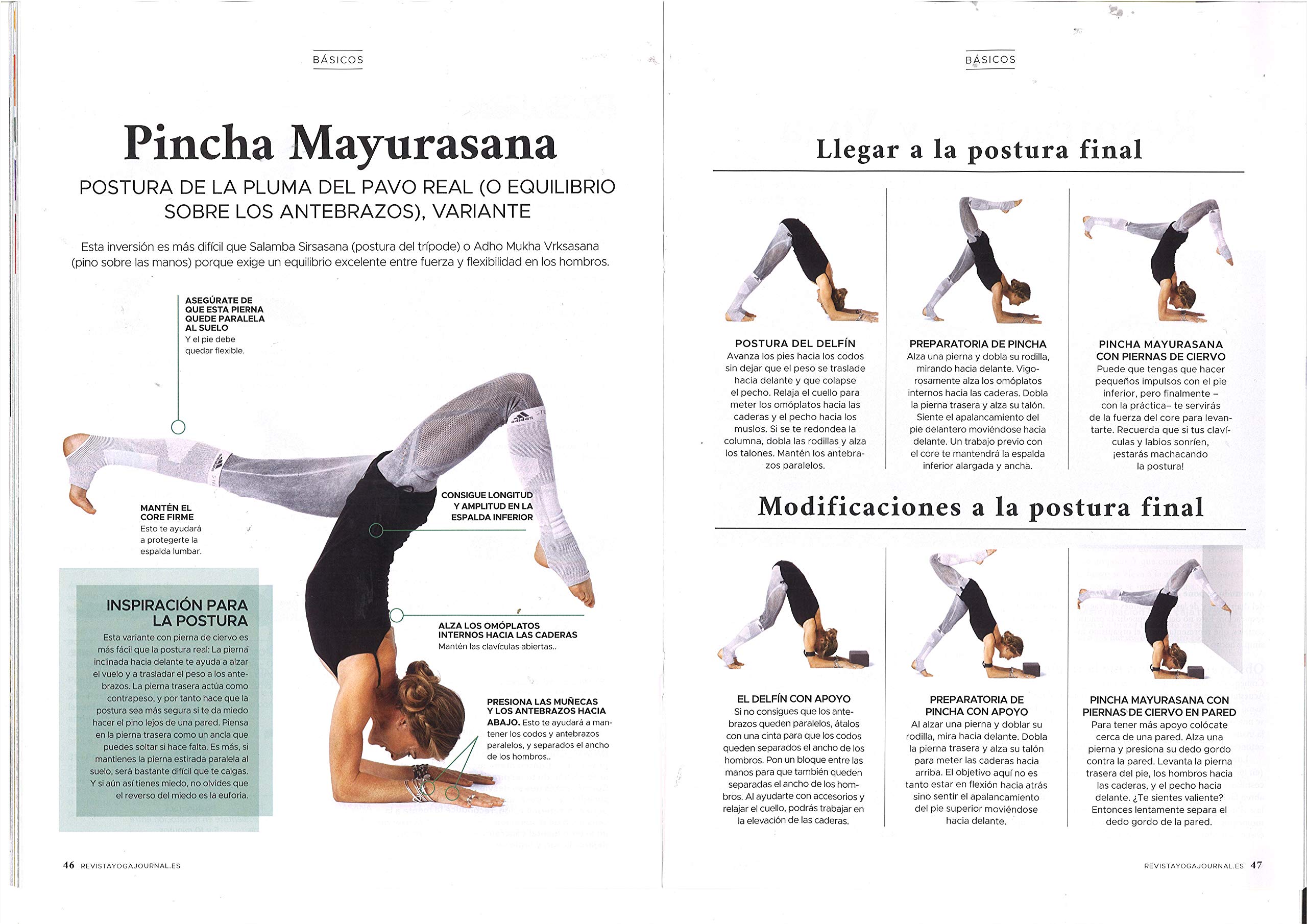 Amazon.es: El Rincon de las revistas: Ocio