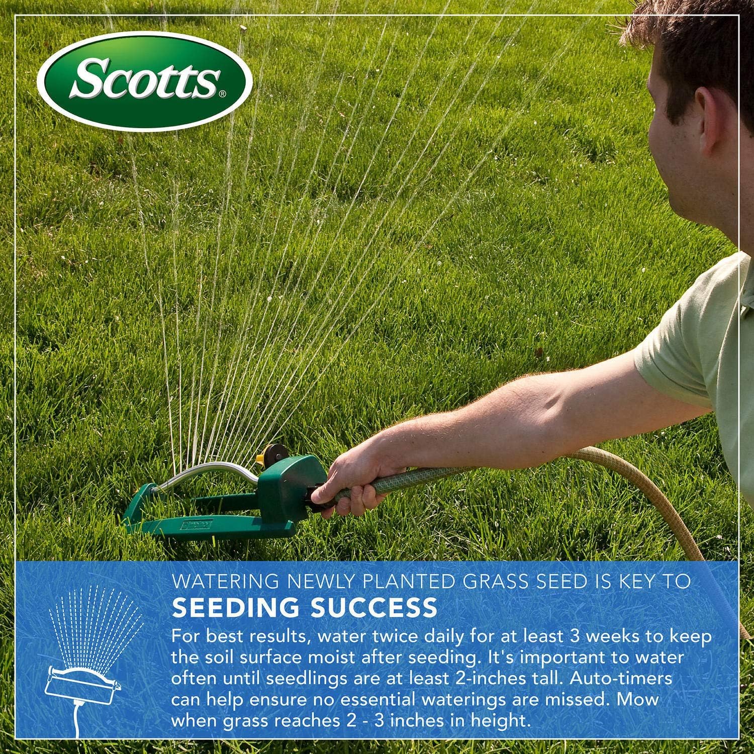 Scotts Turf Builder Grass Seed Sun and Shade Mix, 20 lb. - Grows in Extreme Conditions Including Full Sun and Dense Shade - Seeds up to 8, 000 sq. ft. : Grass Plants : Garden & Outdoor