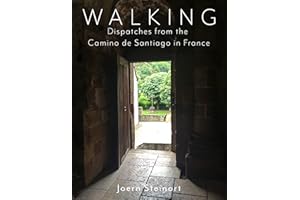Walking:: Dispatches From The Camino de Santiago In France (Dispatches From Away Adventures Book 1)
