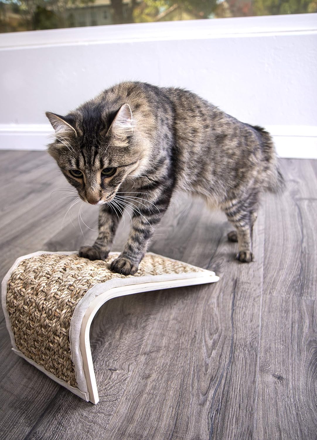 Petlinks Floor Cat Scratchers, Petlinks Scratch Ramp : Scratching Posts : Pet Supplies