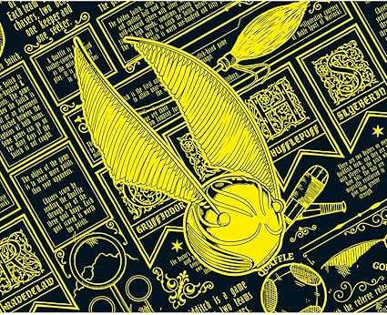 Amazon.com: Paladone Harry Potter 