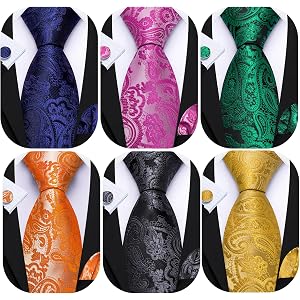 Barry.Wang Mens 6 PCS Ties Silk Striped Paisley Check Floral Necktie Pocket Square Tie-Clip Wedding Business Party Ties 3.34"