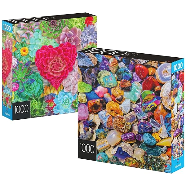 2-PACK OF 1000-PIECE JIGSAW PUZZLES, SUCCULENTS & ROCKS...