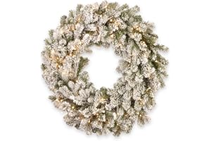 National Tree Company 24 in Pre-Lit Snowy Sheffield Spruce Artificial Christmas Wreath, Christmas Decoration with 50 Clear LE