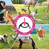 The Dog Lady TDL Gun Dog Training Whistle with Lanyard - Pink view 6
