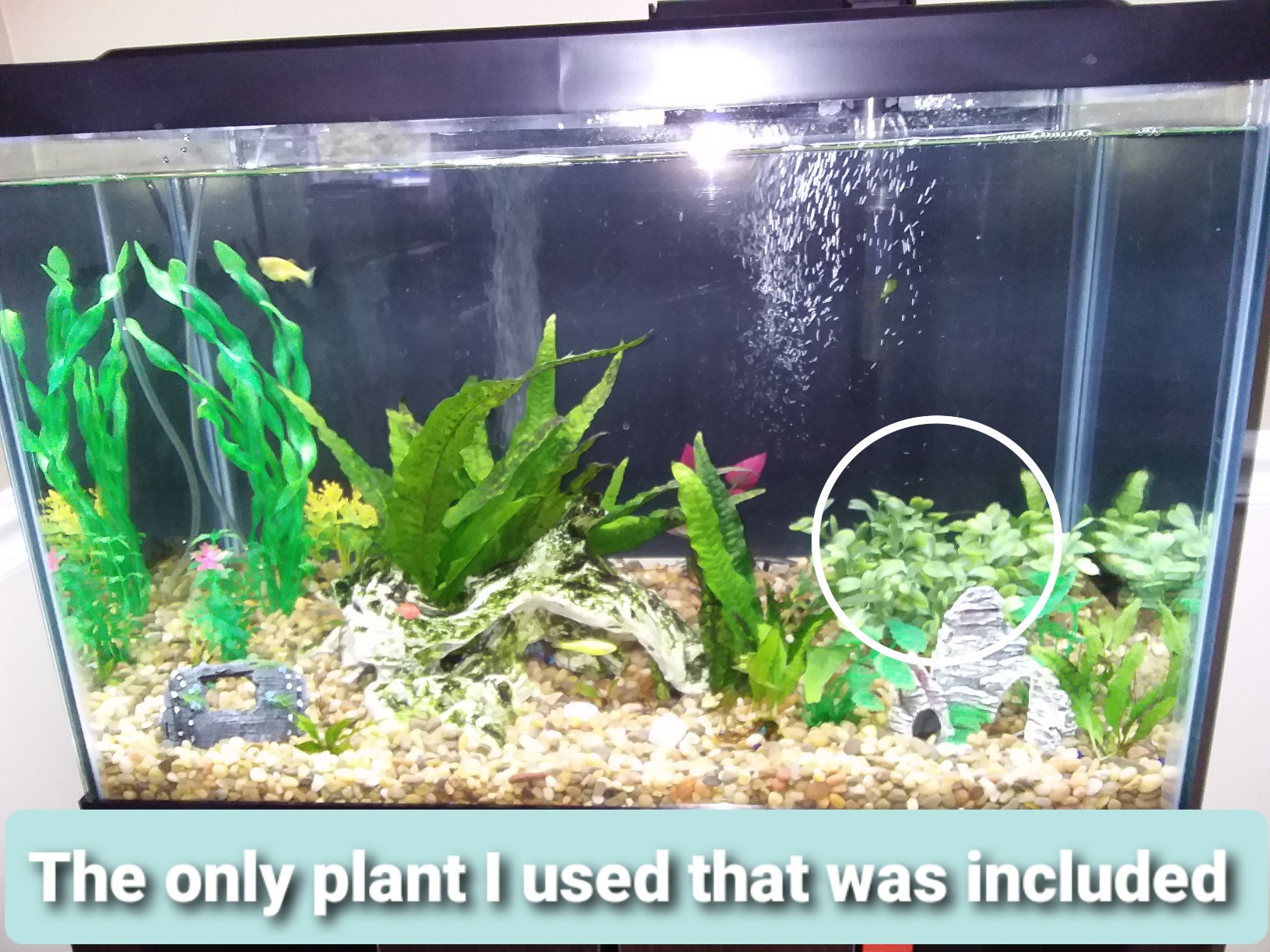 25/mo Finance Tetra Aquarium 20 Gallon Fish Tank Kit, Includes LED