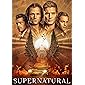 Supernatural: The Fifteenth and Final Season (DVD)
