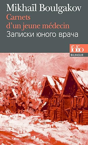 Download Carnets d'un jeune médecin PDF