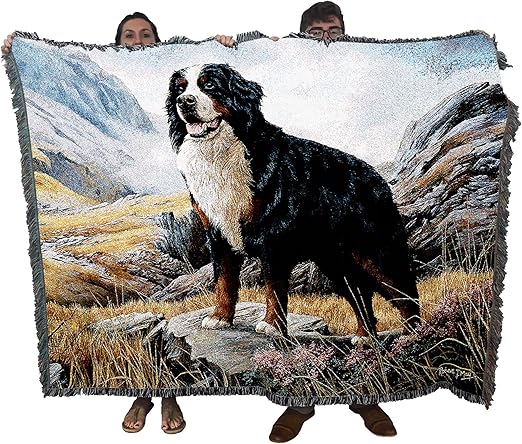 bernese mountain dog supplies