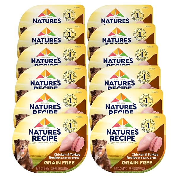 NATURE’S RECIPE GRAIN FREE WET DOG FOOD, CHICKEN...