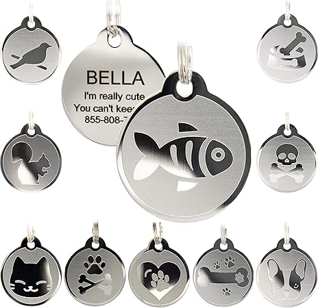 long lasting dog tags