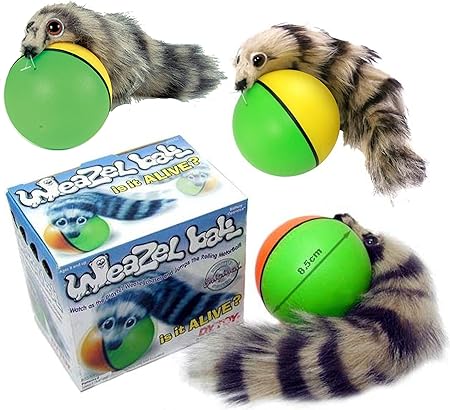 raccoon tail ball toy