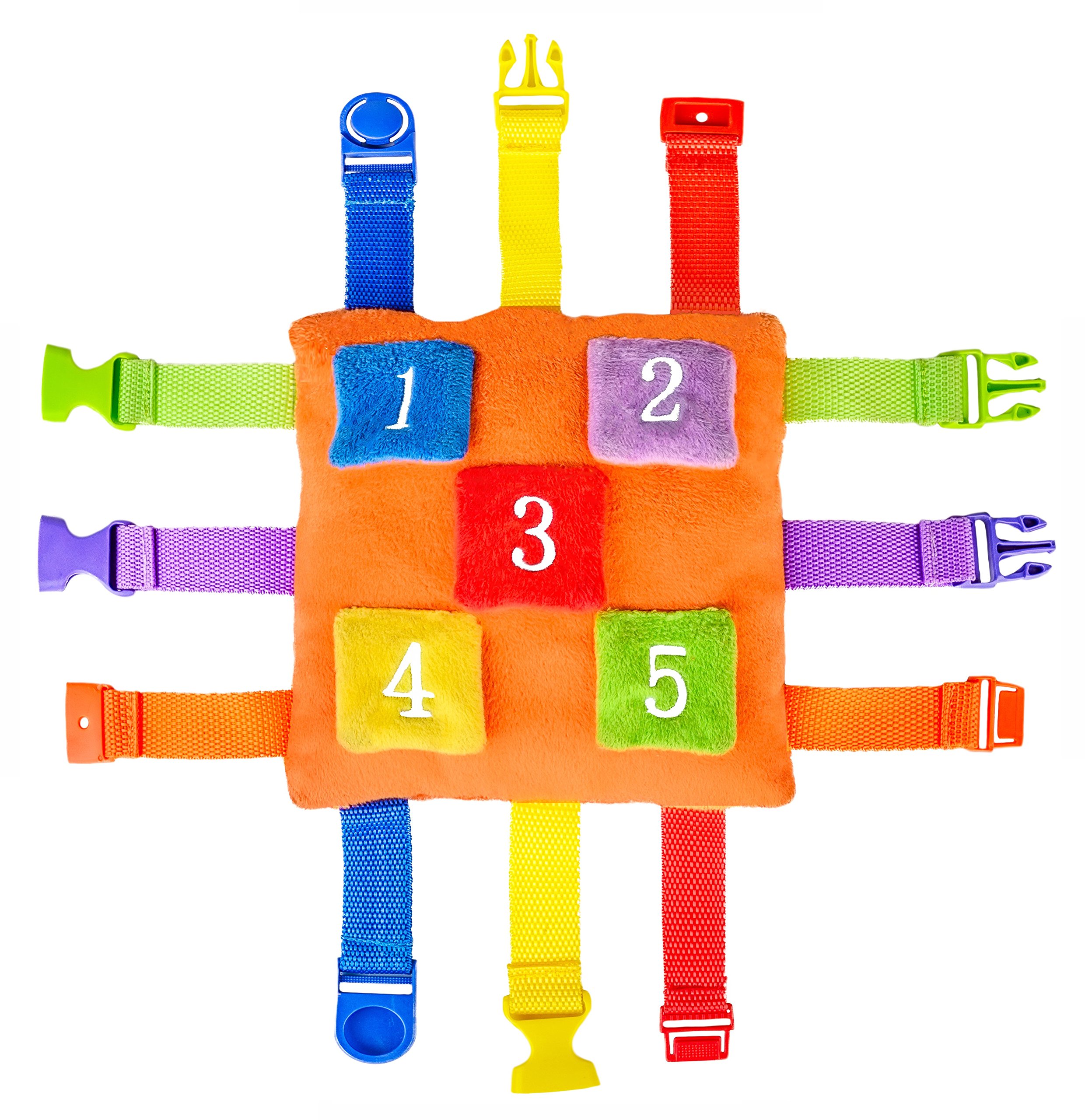 Buckle Toys Bizzy Square The Fnu Company