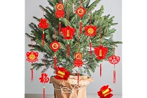 Whaline 36 Pieces Chinese New Year Decorations Chinese Knot Pendant Red Hanging Ornaments,Lucky Fu Pendants for New Year Home Office Car Trees Spring Festival New Year Decorations (6 Designs)