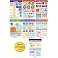 NewPath Learning Fractions Bulletin Board Charts, Set/7 - Laminated, Double-Sided, Full-Color, 12" x 18" (93-3501)