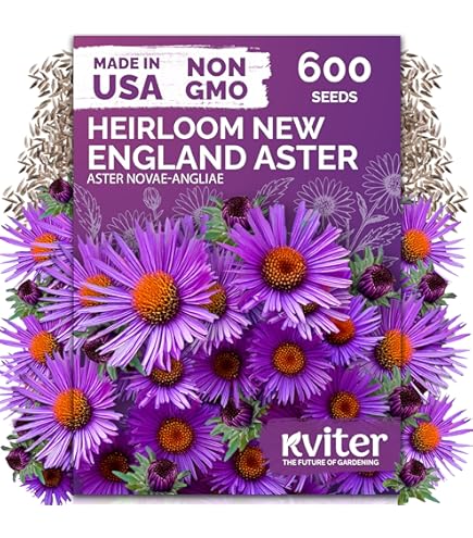 Amazon.com : Generic New Fresh 100pcs cranesbill Geranium Flower Seeds :  Patio, Lawn & Garden