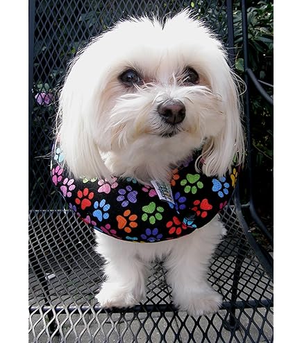 Puppy Bumpers Reflective Glow Pup Bumper Keep Your Dog On The Sa