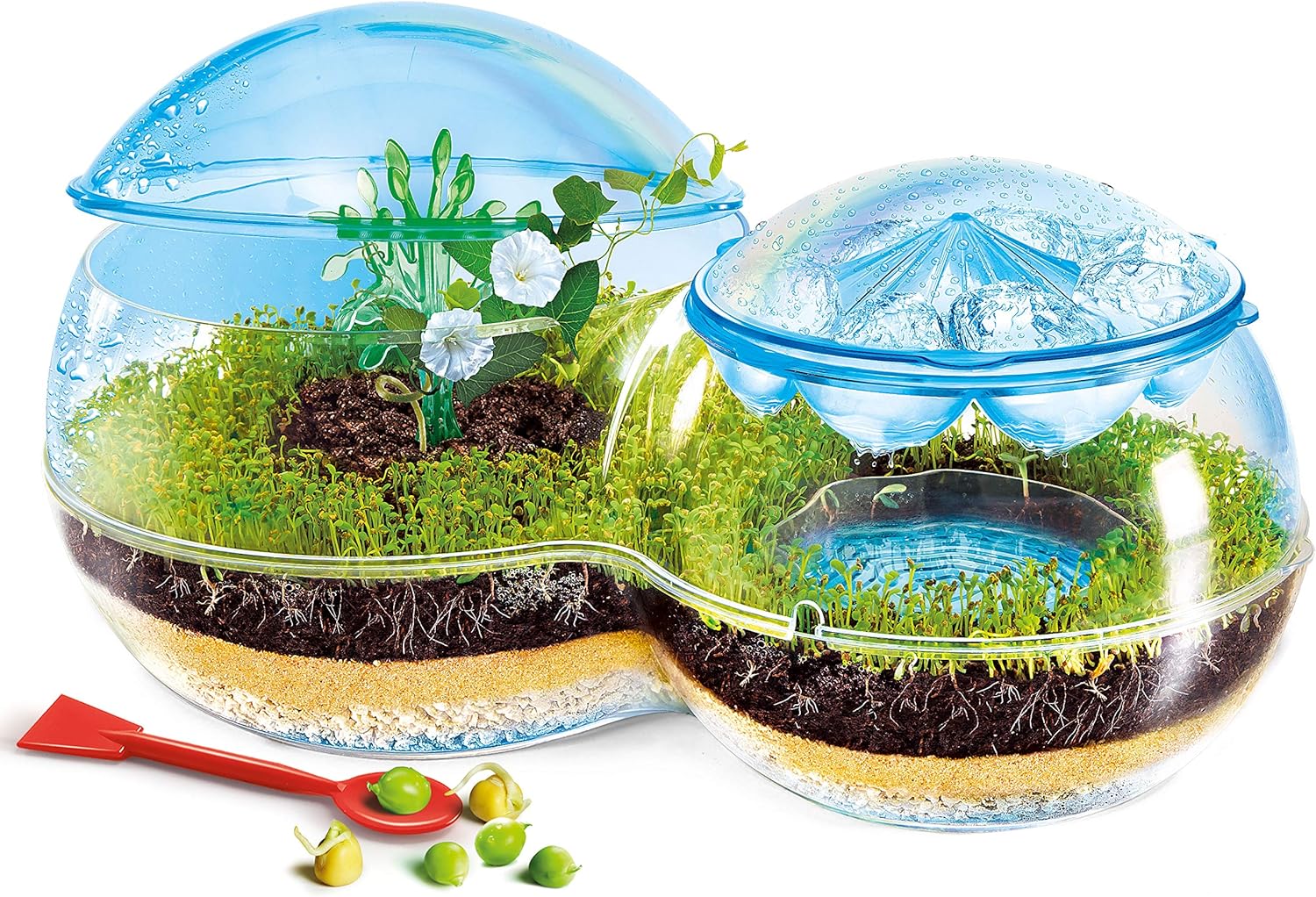 Clementoni, Science and Game: The Biosphere, Ages 8+ Assemble your Biosphere, Water Cycle Plant Growth - Image 4