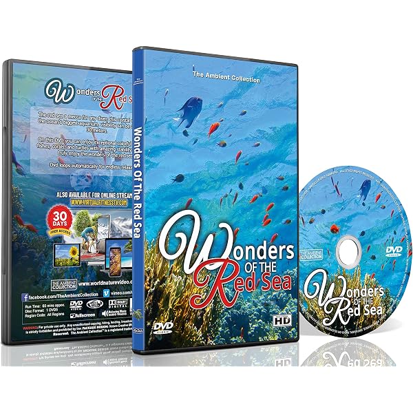 Amazon.com: Living Marine Aquarium, Vol. 2 : Screen Dreams: Movies