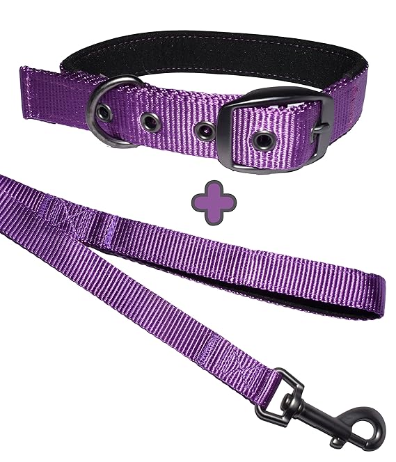 Purple, Buckle Dog Collar and Lead Set with Neoprene Padding, Choose