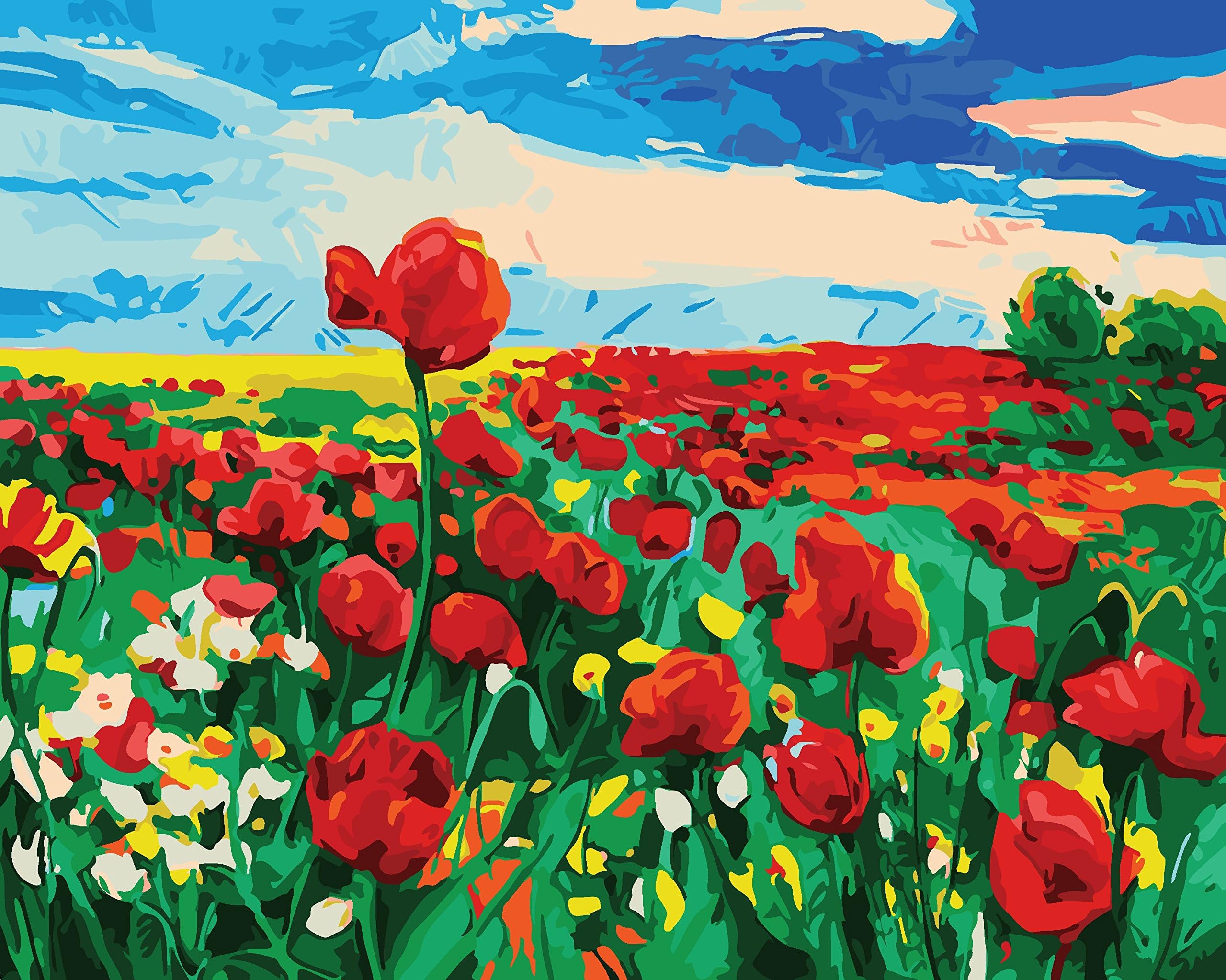 iCoostor Paint by Numbers DIY Acrylic Painting Kit for Kids & Adults Beginner – 16” x 20” Poppy Flower Pattern