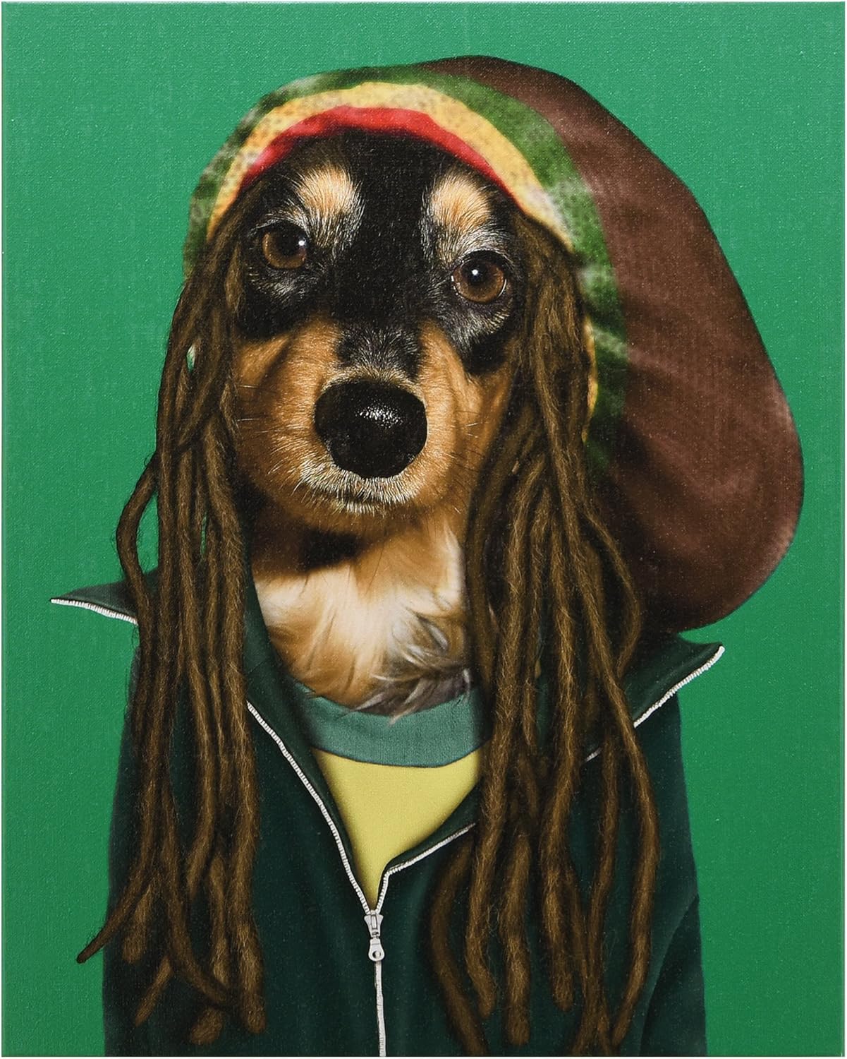 dog reggae