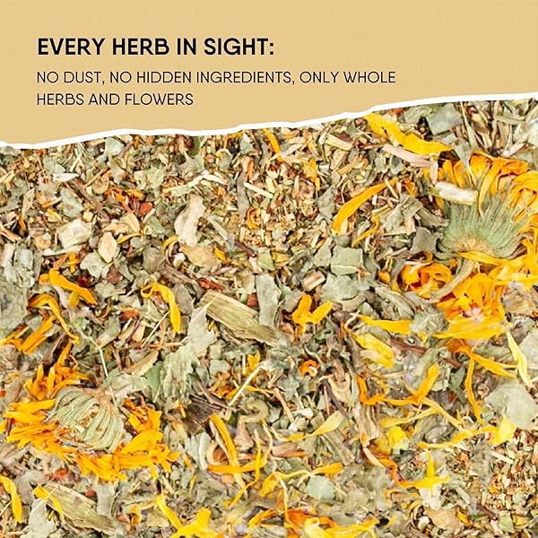LECKAR HERBAL DETOX TEA BLEND WITH DANDELION ROOT CALENDULA ECHINACEA OREGANO ST. JOHN’S WORT MILK THISTLE KIDNEY & LIVER HEALTH (HERBAL TEA)
